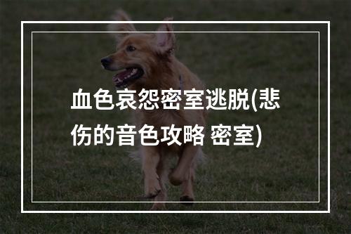 血色哀怨密室逃脱(悲伤的音色攻略 密室)