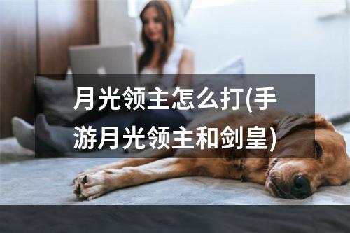 月光领主怎么打(手游月光领主和剑皇)