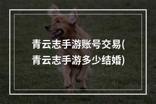 青云志手游账号交易(青云志手游多少结婚)