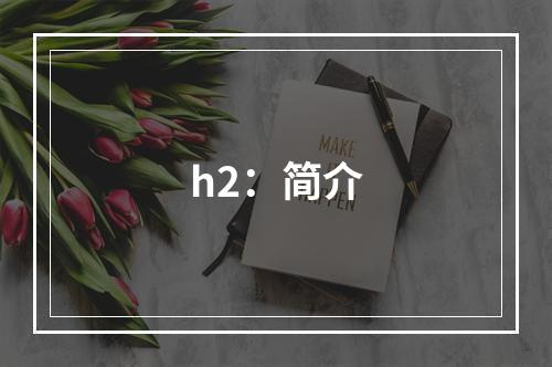 h2：简介