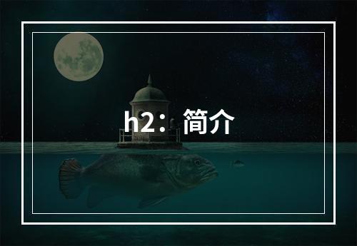 h2：简介