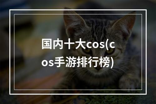 国内十大cos(cos手游排行榜)