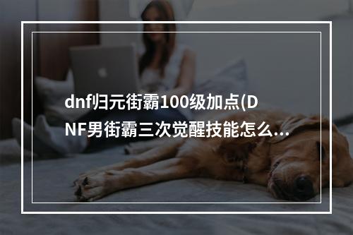 dnf归元街霸100级加点(DNF男街霸三次觉醒技能怎么样 DNF归元街霸打技能介绍)