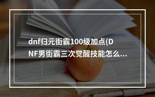 dnf归元街霸100级加点(DNF男街霸三次觉醒技能怎么样 DNF归元街霸打技能介绍)