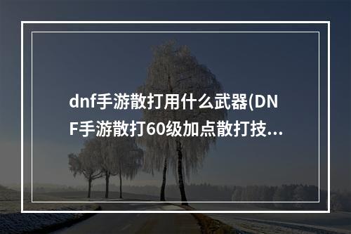 dnf手游散打用什么武器(DNF手游散打60级加点散打技能怎么点)