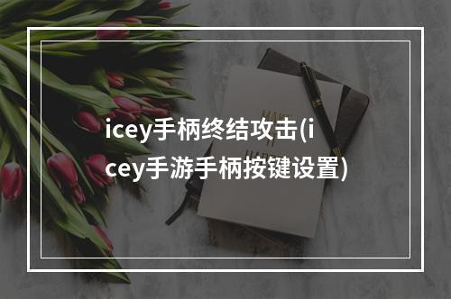 icey手柄终结攻击(icey手游手柄按键设置)