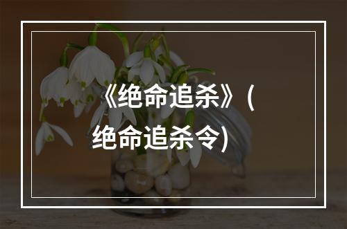 《绝命追杀》(绝命追杀令)