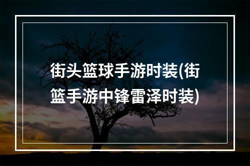 街头篮球手游时装(街篮手游中锋雷泽时装)