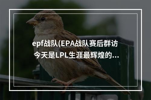 epf战队(EPA战队赛后群访 今天是LPL生涯最辉煌的一刻)