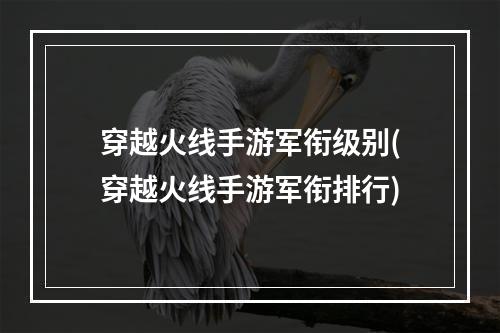 穿越火线手游军衔级别(穿越火线手游军衔排行)