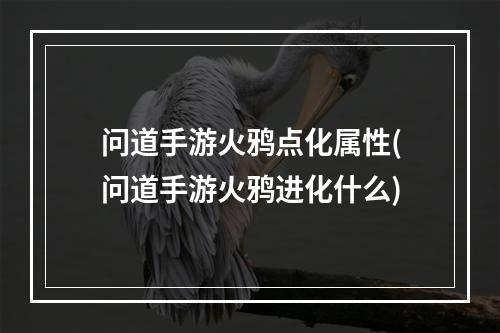 问道手游火鸦点化属性(问道手游火鸦进化什么)