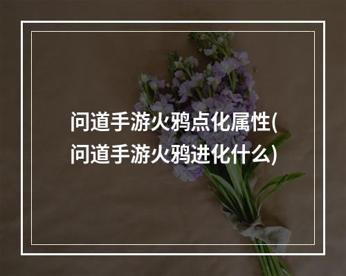 问道手游火鸦点化属性(问道手游火鸦进化什么)