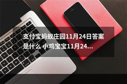 支付宝蚂蚁庄园11月24日答案是什么 小鸡宝宝11月24日