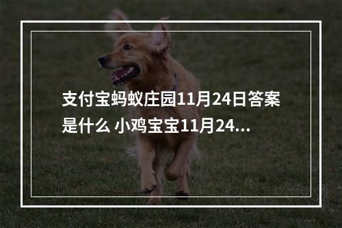 支付宝蚂蚁庄园11月24日答案是什么 小鸡宝宝11月24日