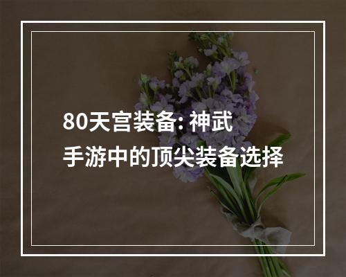 80天宫装备: 神武手游中的顶尖装备选择