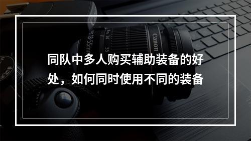 同队中多人购买辅助装备的好处，如何同时使用不同的装备