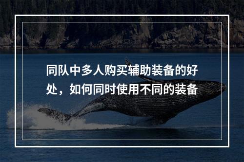 同队中多人购买辅助装备的好处，如何同时使用不同的装备