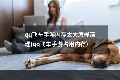 qq飞车手游内存太大怎样清理(qq飞车手游占用内存)