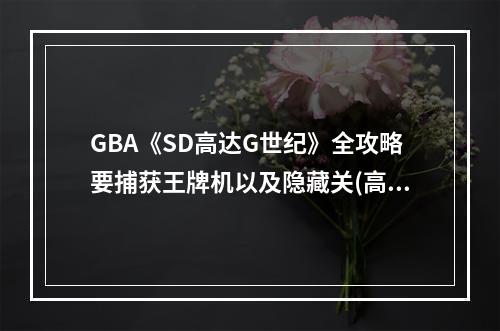 GBA《SD高达G世纪》全攻略要捕获王牌机以及隐藏关(高达世纪世界攻略)