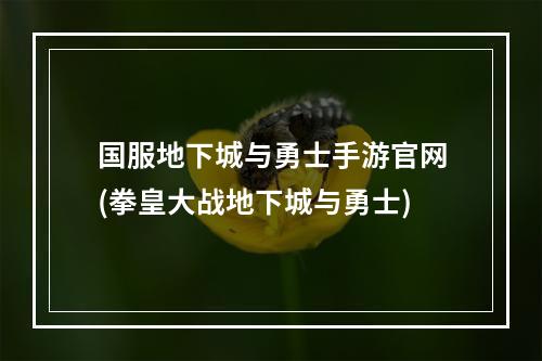 国服地下城与勇士手游官网(拳皇大战地下城与勇士)