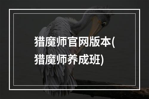 猎魔师官网版本(猎魔师养成班)