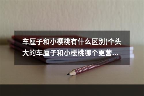 车厘子和小樱桃有什么区别(个头大的车厘子和小樱桃哪个更营养 蚂蚁新村6月28日)