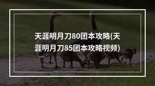 天涯明月刀80团本攻略(天涯明月刀85团本攻略视频)