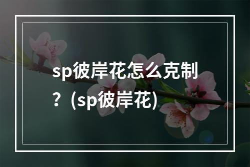 sp彼岸花怎么克制？(sp彼岸花)