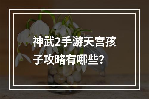 神武2手游天宫孩子攻略有哪些？