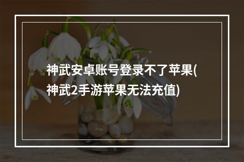 神武安卓账号登录不了苹果(神武2手游苹果无法充值)