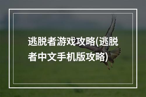 逃脱者游戏攻略(逃脱者中文手机版攻略)