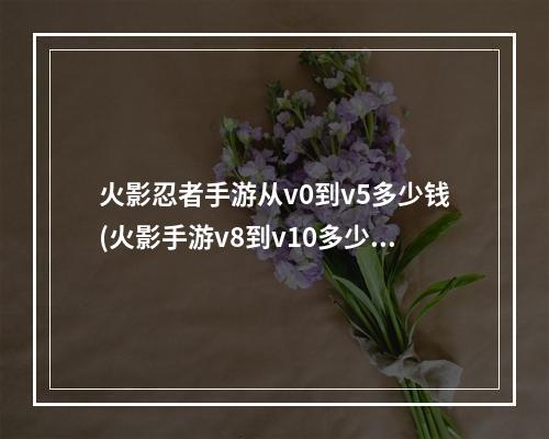 火影忍者手游从v0到v5多少钱(火影手游v8到v10多少钱)