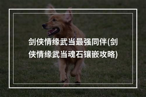 剑侠情缘武当最强同伴(剑侠情缘武当魂石镶嵌攻略)