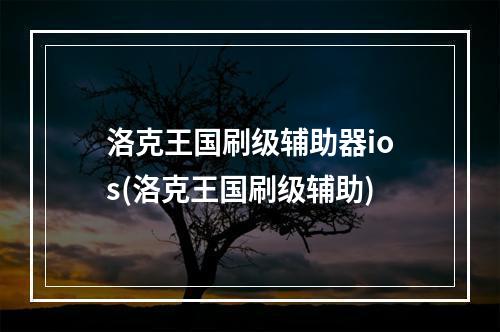 洛克王国刷级辅助器ios(洛克王国刷级辅助)