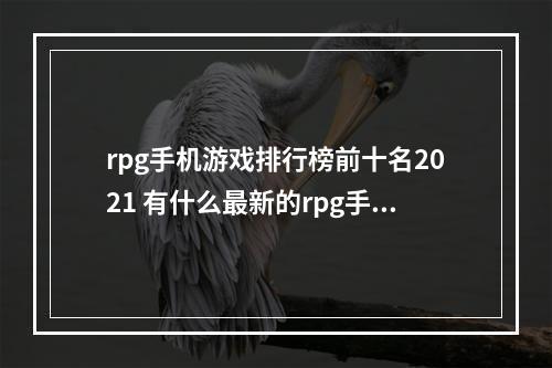 rpg手机游戏排行榜前十名2021 有什么最新的rpg手游吗(rpg手机游戏排行榜前十名2021 有什么最新的rpg手游)