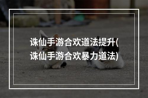 诛仙手游合欢道法提升(诛仙手游合欢暴力道法)