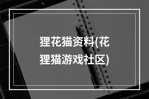 狸花猫资料(花狸猫游戏社区)