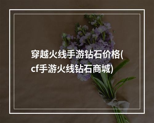 穿越火线手游钻石价格(cf手游火线钻石商城)