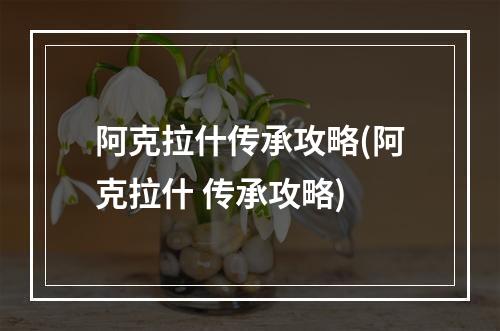 阿克拉什传承攻略(阿克拉什 传承攻略)