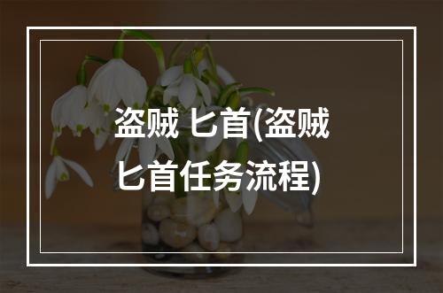 盗贼 匕首(盗贼匕首任务流程)