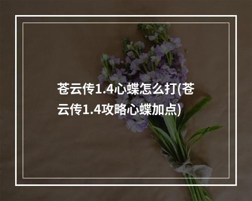 苍云传1.4心蝶怎么打(苍云传1.4攻略心蝶加点)