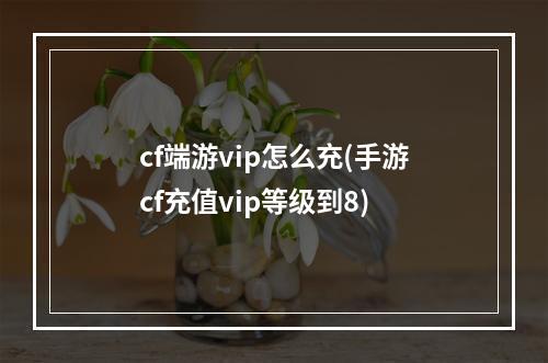 cf端游vip怎么充(手游cf充值vip等级到8)