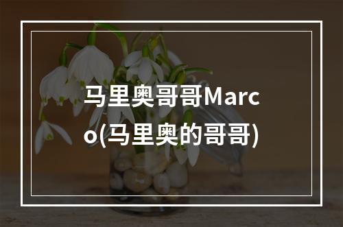 马里奥哥哥Marco(马里奥的哥哥)