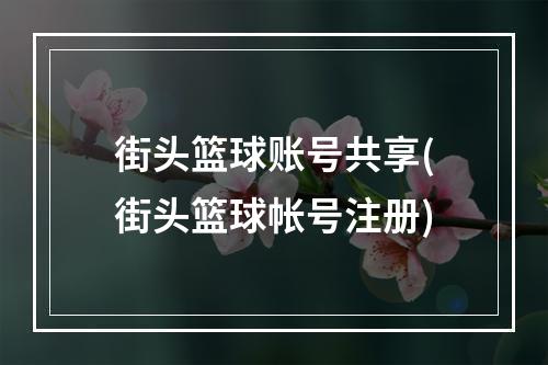 街头篮球账号共享(街头篮球帐号注册)