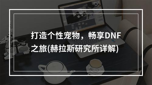 打造个性宠物，畅享DNF之旅(赫拉斯研究所详解)