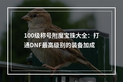 100级称号附魔宝珠大全：打通DNF最高级别的装备加成