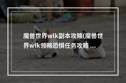 魔兽世界wlk副本攻略(魔兽世界wlk领略恐惧任务攻略 魔兽世界 )