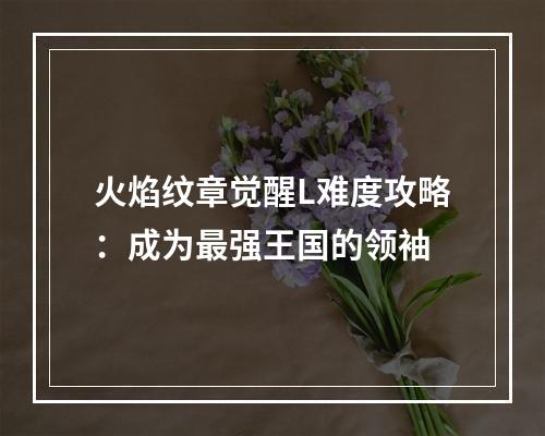 火焰纹章觉醒L难度攻略：成为最强王国的领袖