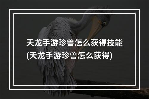 天龙手游珍兽怎么获得技能(天龙手游珍兽怎么获得)