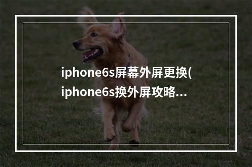 iphone6s屏幕外屏更换(iphone6s换外屏攻略)